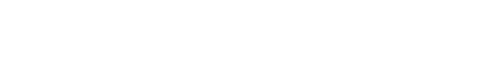 TechnoVision